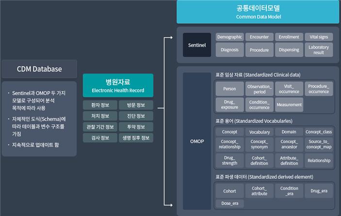 CDM 데이터베이스의 구성